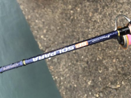 渋い釣果が続きます